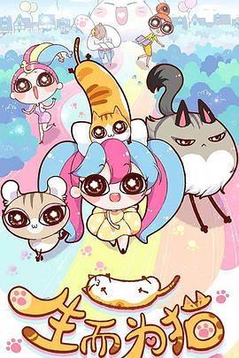 南京专业的网站优化平台